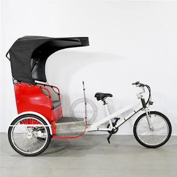 Silnejšie Dospelých Elektrické Rickshaw 3 Kolesá Bicykel Pre Dvoch Cestujúcich 500W Európe Štandardné Trojkolky Bike, Taxi
