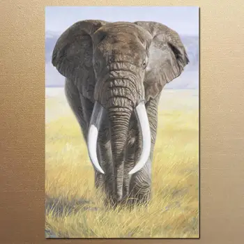Plátno Umenie olejomaľba Africký Slon Silu Prírody Zvierat Obrázok pre Kúpeľňa Stenu Decor Ručne Maľované Moderný Štýl