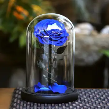 Konzervované Kvet Sklenený Kryt Jemné Non-vyblednutiu Estetické Umelé Večný Navždy Rose Dekor Festival Dodávky
